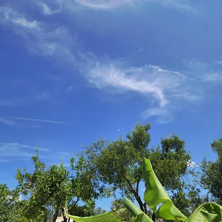 Casa de Campo Linda *